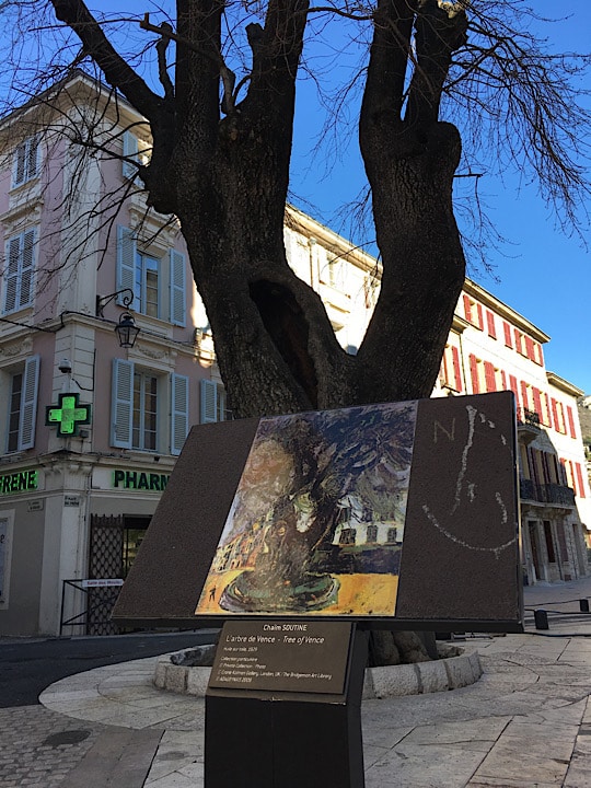 Baum von Vence